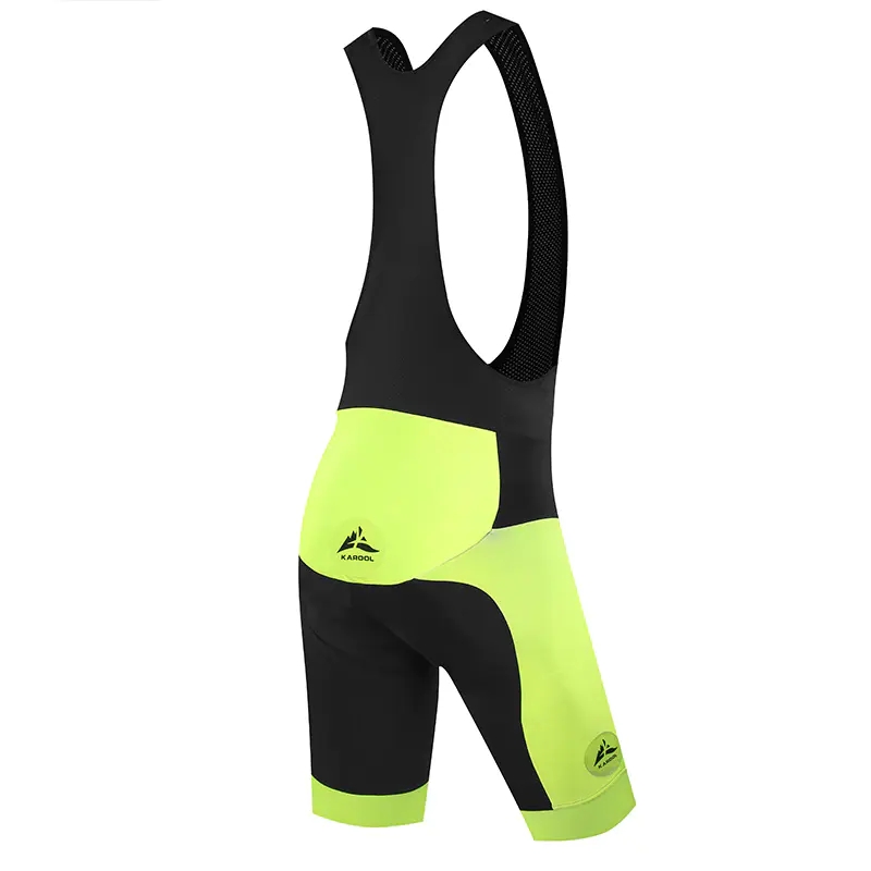 Pro Bib Short 1.0